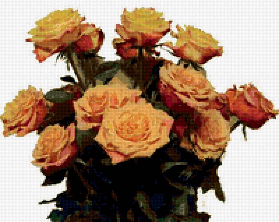 Rose - предпросмотр