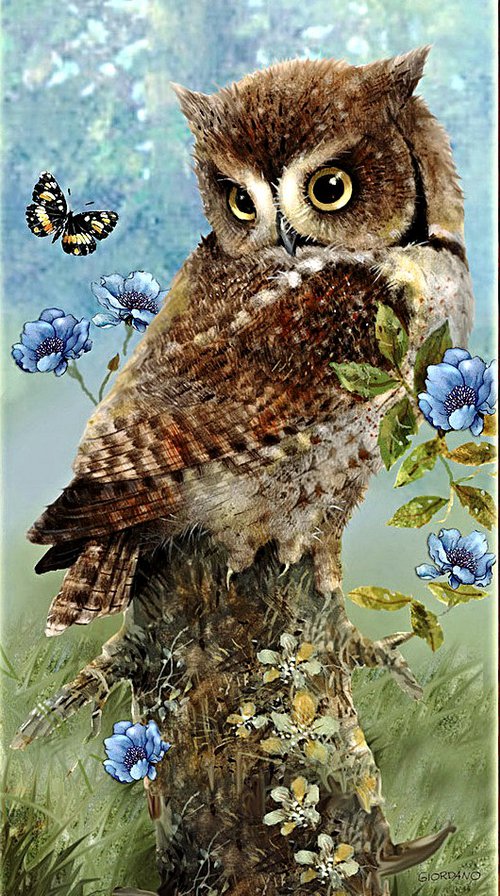 Совушка - птицы - оригинал