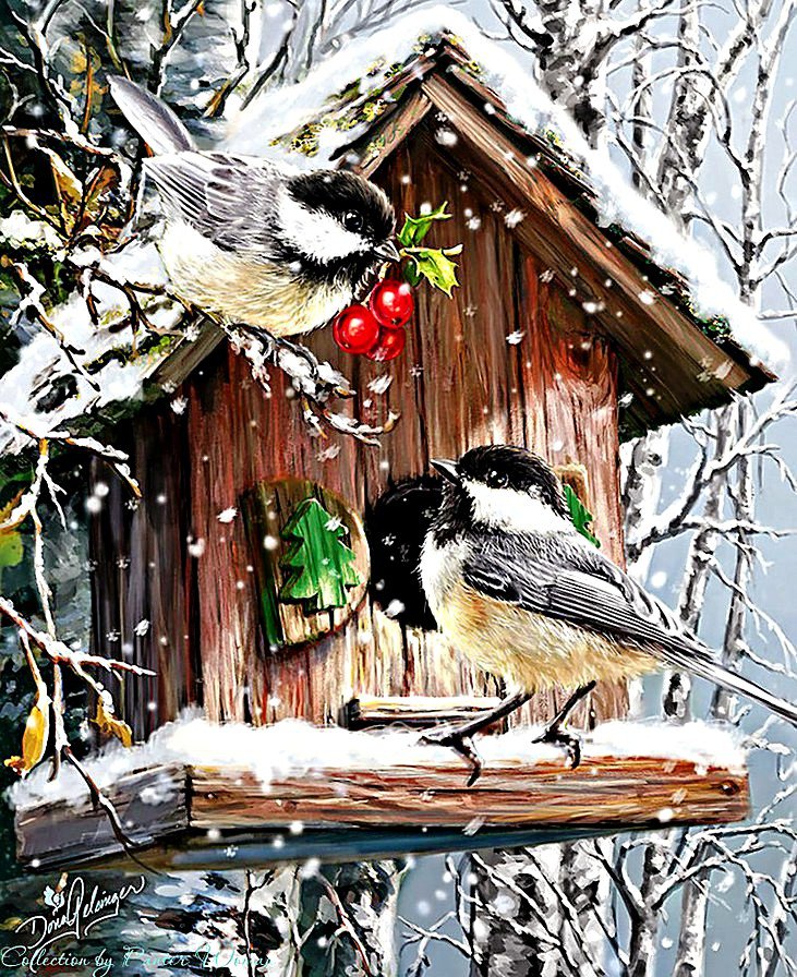 Синички - птицы - оригинал