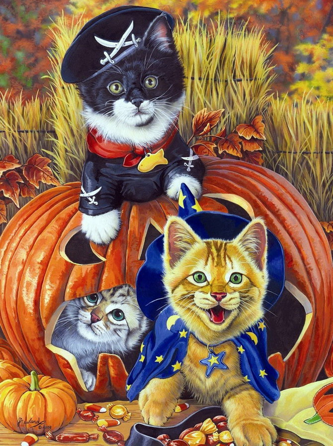 Кошачий Хеллоуин - котята, кошки - оригинал