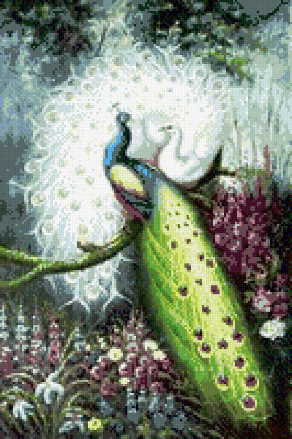 павлин2 - павлин - предпросмотр