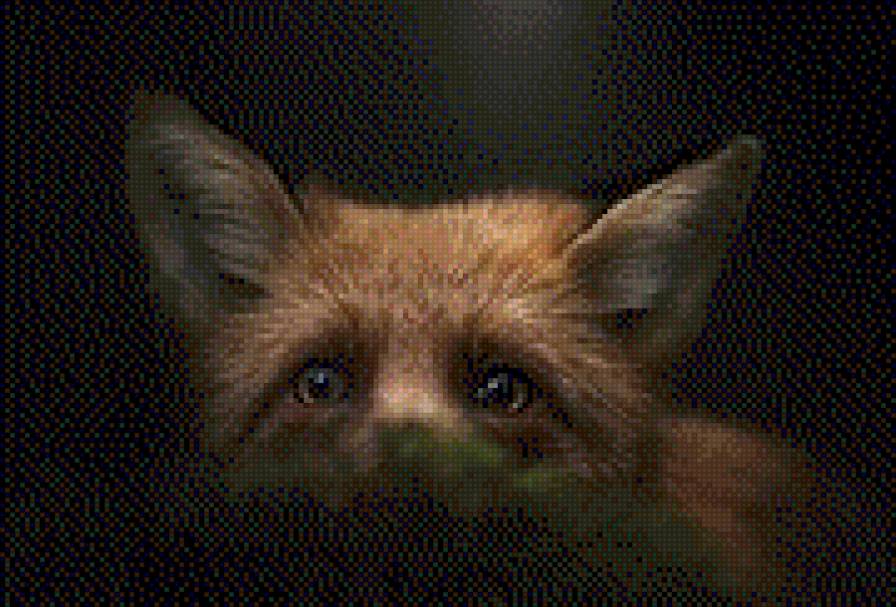 лиса - ночь, лиса - предпросмотр