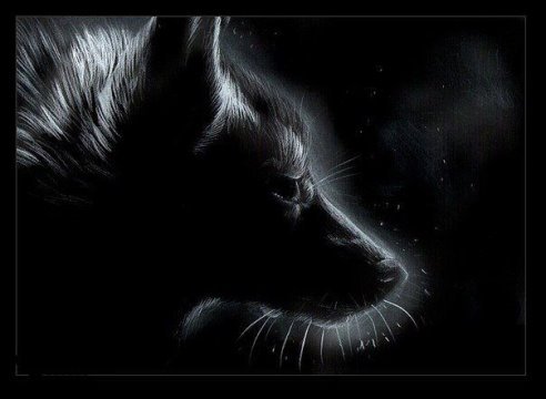 лис - лиса, лис - оригинал