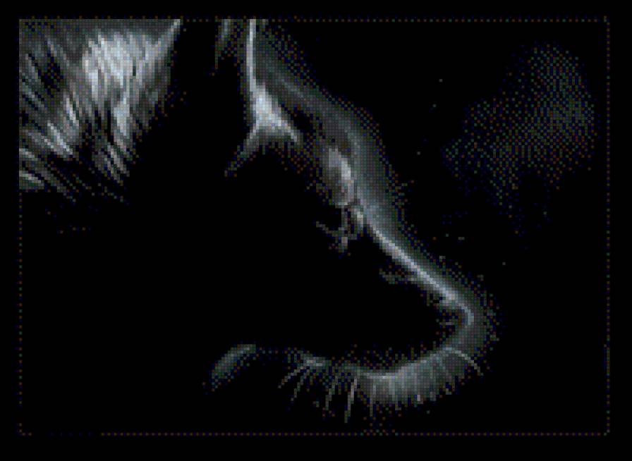 лис - лис, лиса - предпросмотр