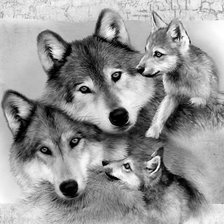 Схема вышивки «Семья волков»