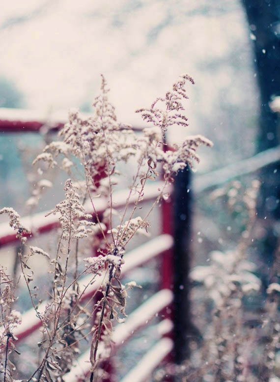 0002 - оригинал