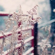 Схема вышивки «0002»