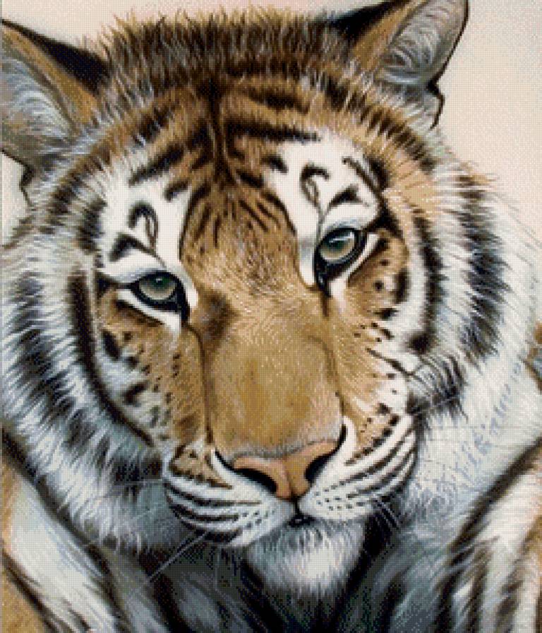 в мире животных - животные, тигры - предпросмотр