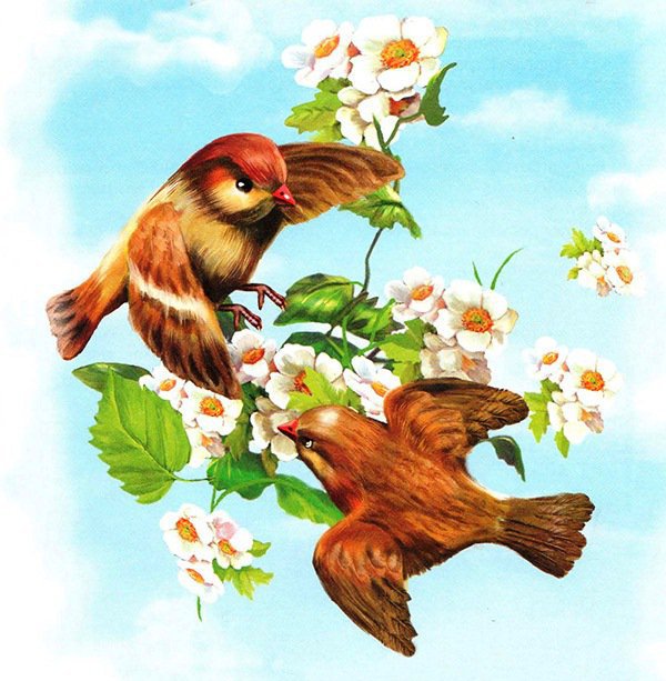 Весенние пташки - оригинал