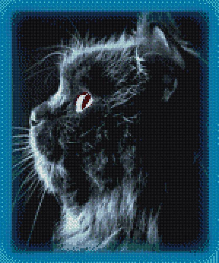 Боничка - предпросмотр