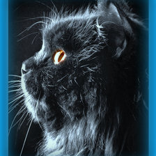 Схема вышивки «Боничка»