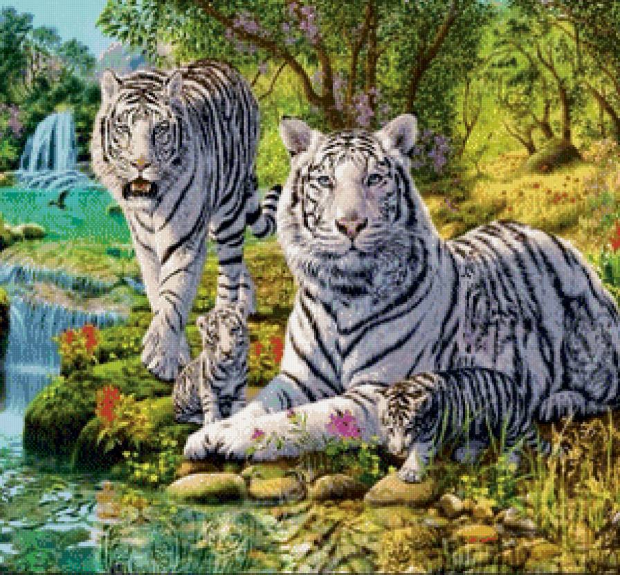 Белые тигры у водопада 2 - предпросмотр