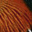 Предпросмотр схемы вышивки «Мандаринка-утка» (№1098784)
