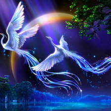 Схема вышивки «phoenix»