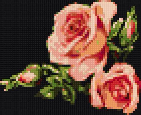 розы - цверы, розы - предпросмотр