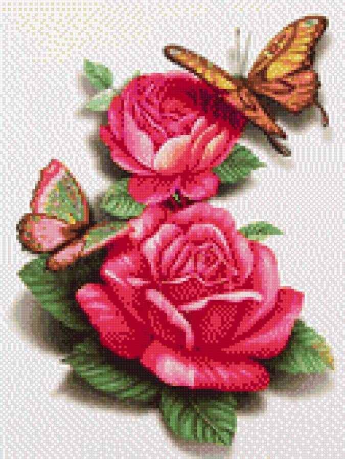 розы - предпросмотр