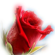 Схема вышивки «№1099275»