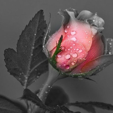 №1099276 - оригинал