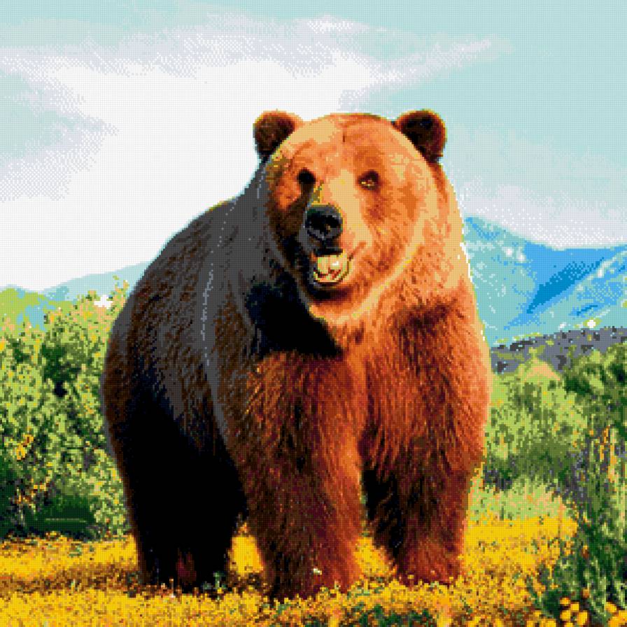 Медведь - медведь, природа, зверь, животное - предпросмотр