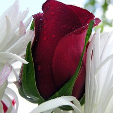 Схема вышивки «тоопрке»