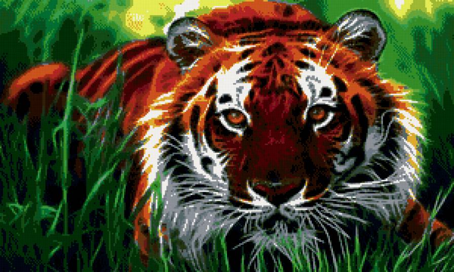 тигр - тигр, зверь, животное, природа - предпросмотр