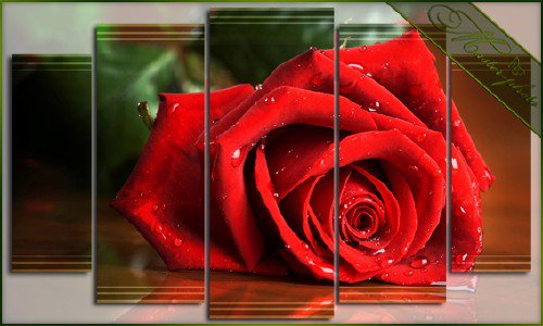 красная роза - оригинал