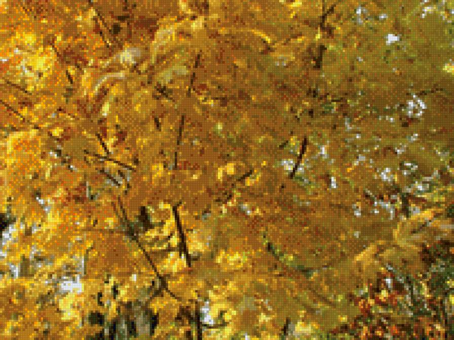 Осень - парк, осень, листопад - предпросмотр