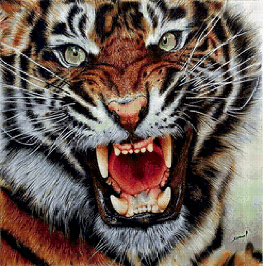 тигр 3 - предпросмотр