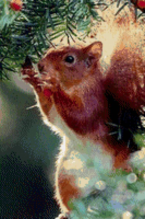 0003 - предпросмотр