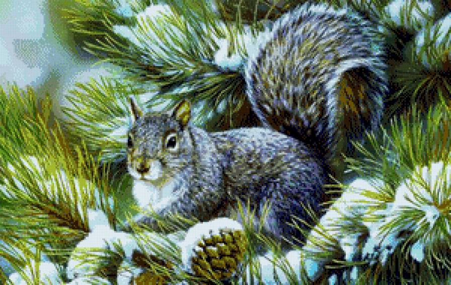 Серая белка - елка, шишка, белочка - предпросмотр