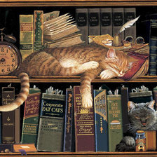 Схема вышивки «gato en biblioteca»