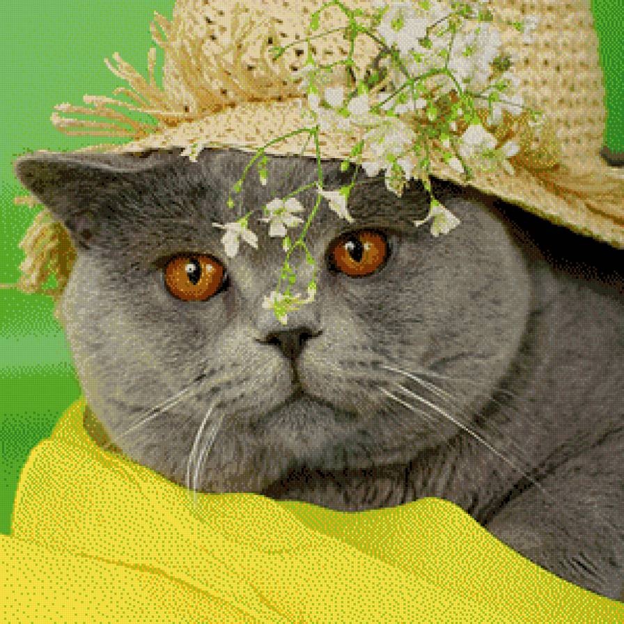 дачник - кот - предпросмотр