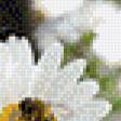 Предпросмотр схемы вышивки «котята в ромашках» (№1101262)