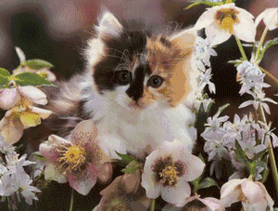 Котенок - цветы, котенок - предпросмотр