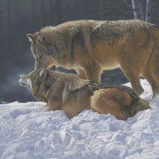 Схема вышивки «№1101341»