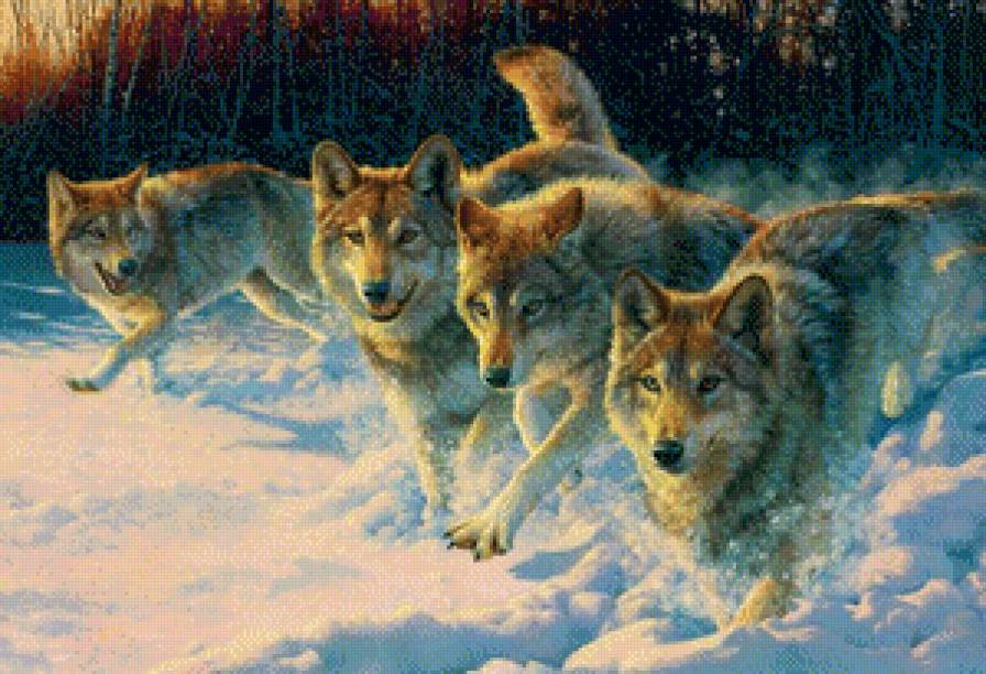 №1101368 - волк - предпросмотр