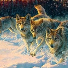 Схема вышивки «№1101368»