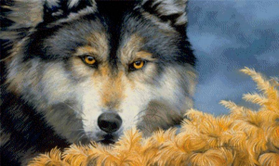 №1101404 - волк - предпросмотр