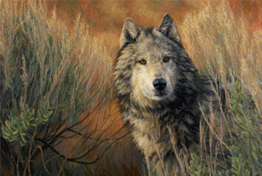 №1101408 - волк - предпросмотр