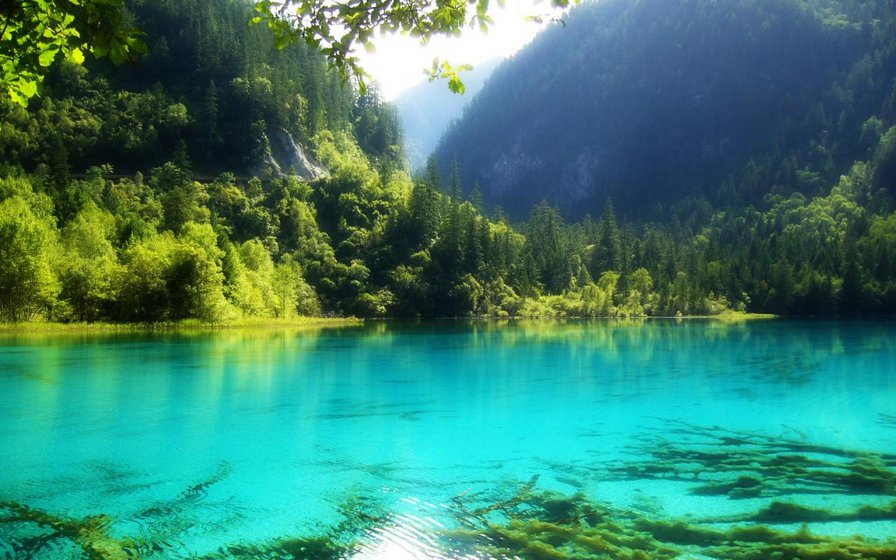 озера в лесу - оригинал