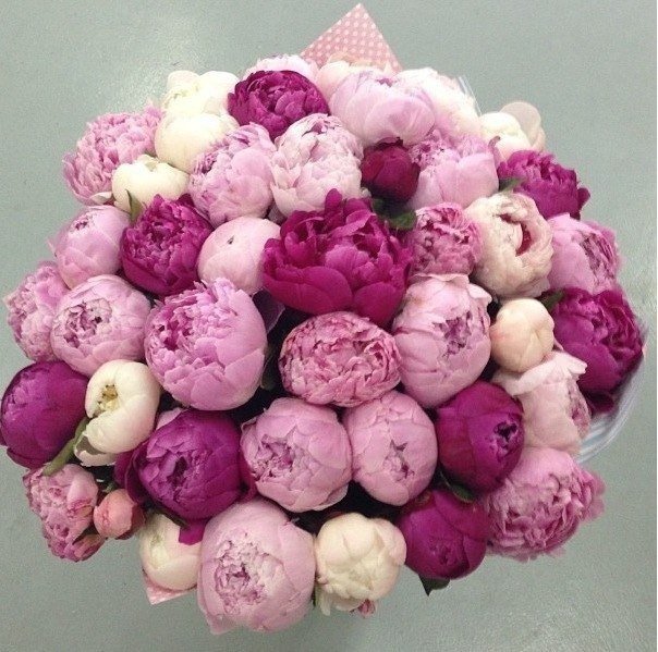 0012 - оригинал