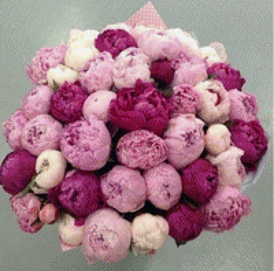 0012 - предпросмотр