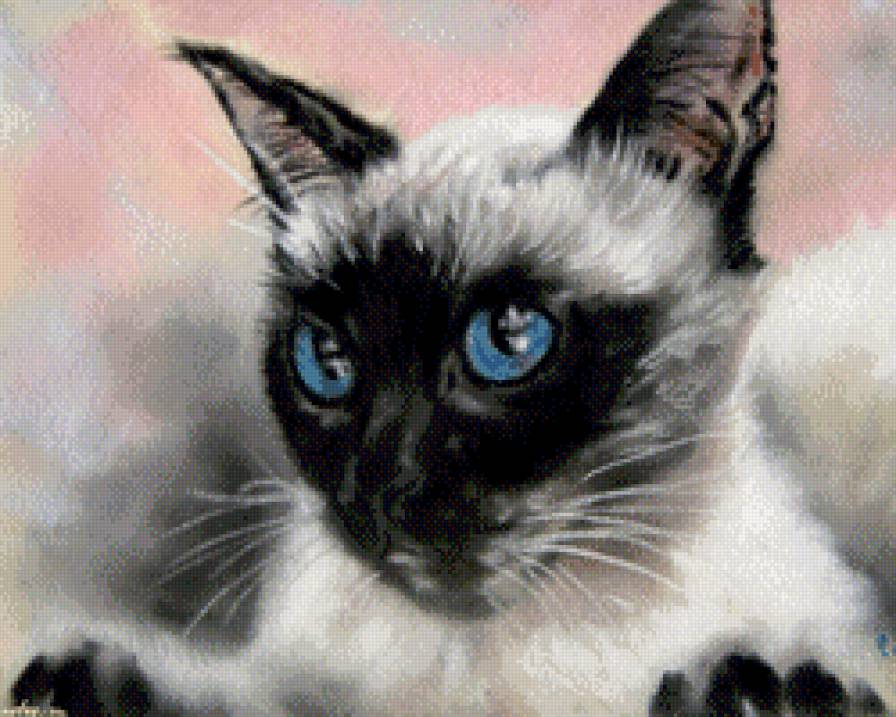 Кот готовится к прыжку - животные, коты, кот - предпросмотр