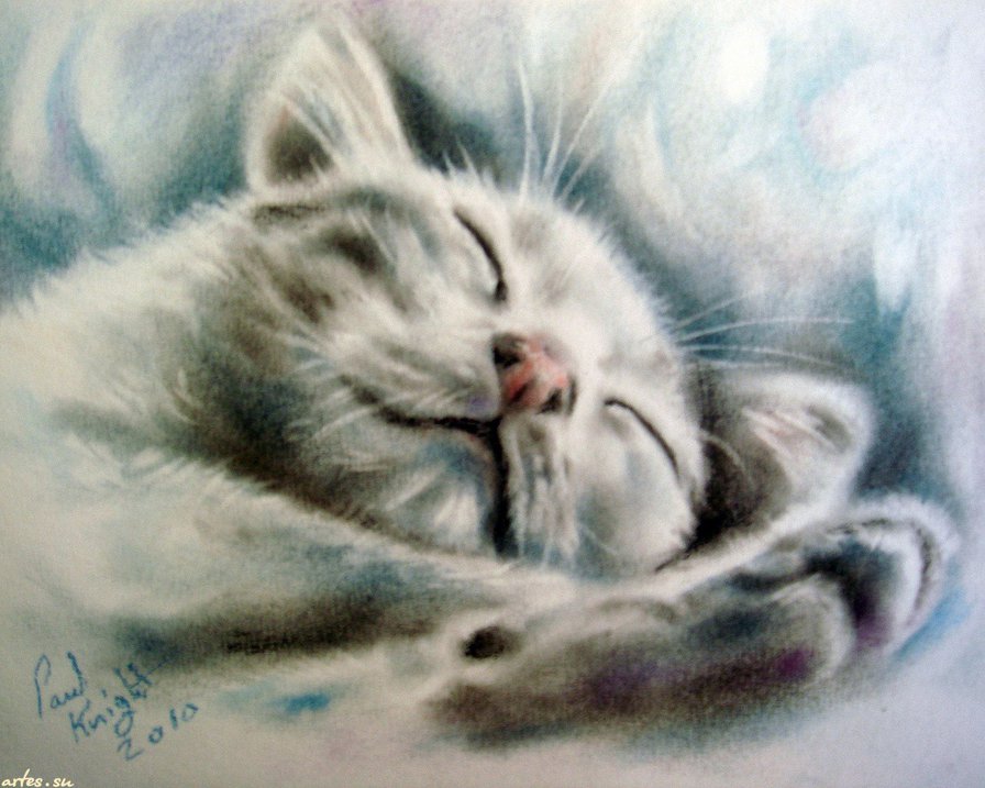 Спящий котенок - животные, кот, коты - оригинал