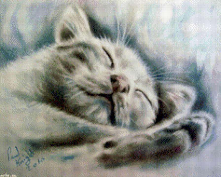 Спящий котенок - кот, коты, животные - предпросмотр