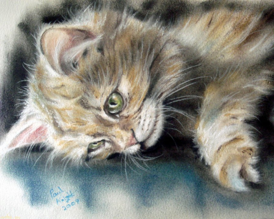 Котенок отдыхает - коты, кот, животные - оригинал