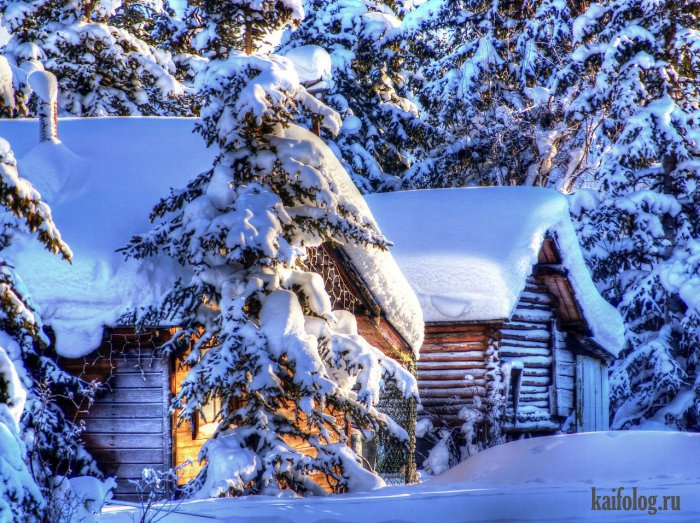 Зима - ели, зима, домик - оригинал