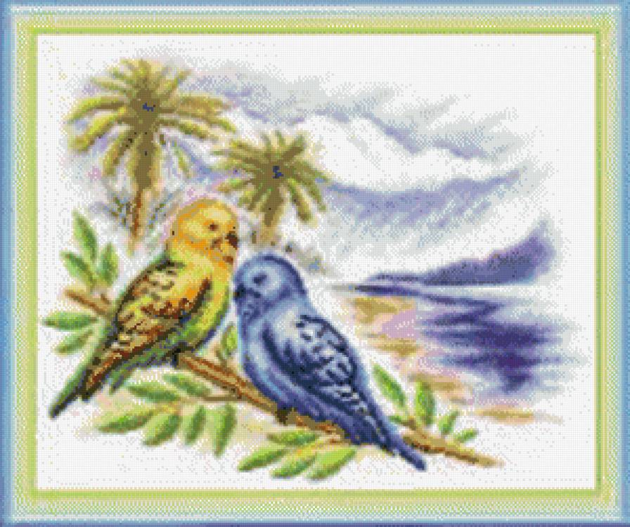 Попугайчики - предпросмотр