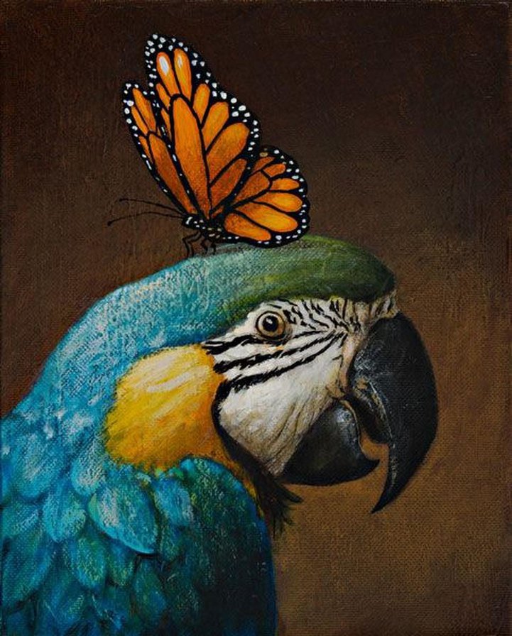 Попугай и бабочка. - попугай, бабочка - оригинал