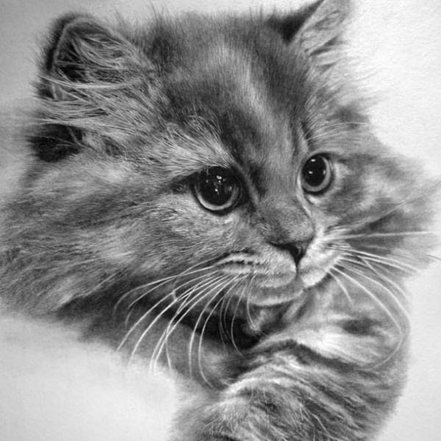 №1102471 - оригинал